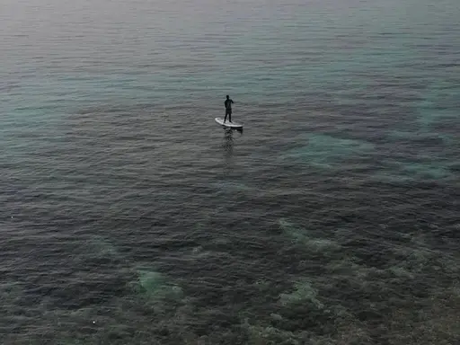 Dimaniyat Islands Trip (Half Day)
