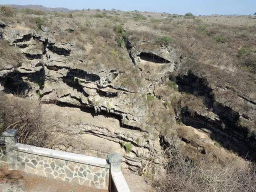 Full-day Jebel Safari East (8 hours)