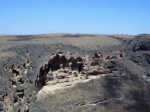 Full-day Jebel Safari East (8 hours)