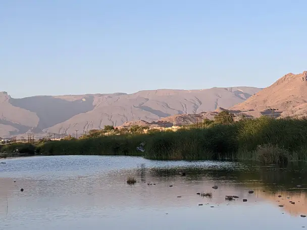 جولة يوم نزوى