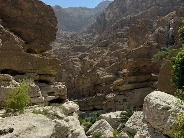 استكشاف وادي شاب (جولة خاصة)