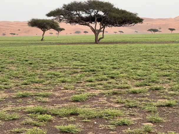 السياحة بالمنطقة الداخلية 