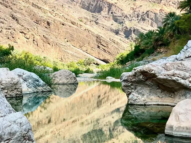 وادي العربين