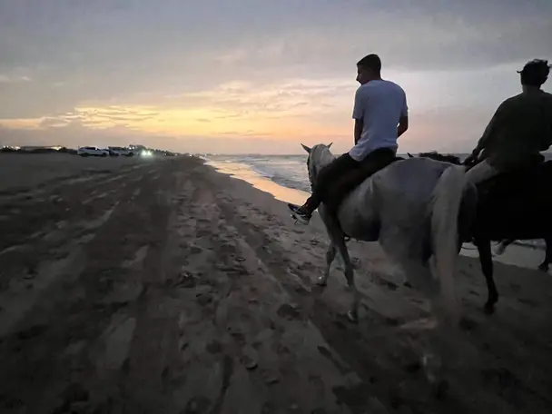 ركوب الخيل على الشاطئ 🌅🏇🏼