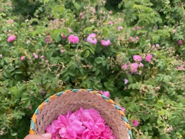 جولة في الجبل الاخضر