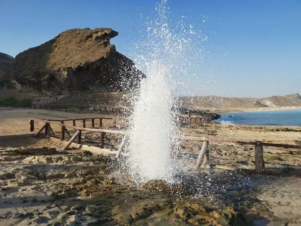 جولة شرق وغرب ليوم كامل (8 ساعات)