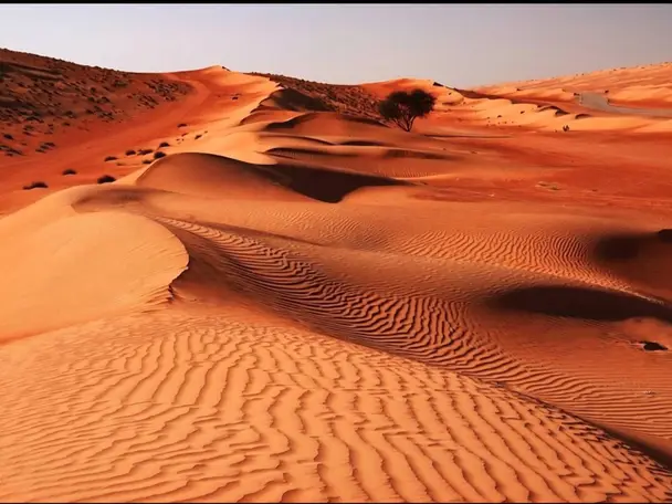 صحراء رمال وهيبة ووادي بني خالد