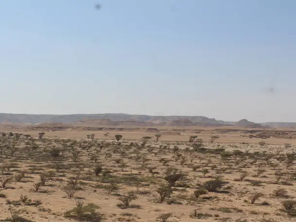 رحلة سفاري في الصحراء ليوم كامل (9 ساعات)