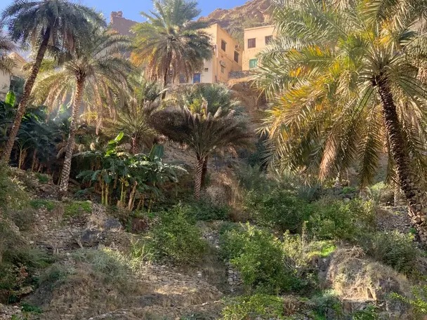 وادي سحتن وجما و نخل و ممشى افي 