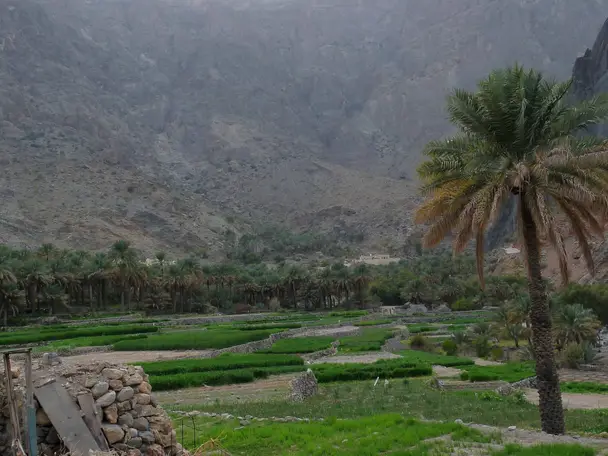 Photo of Bilad Sayt