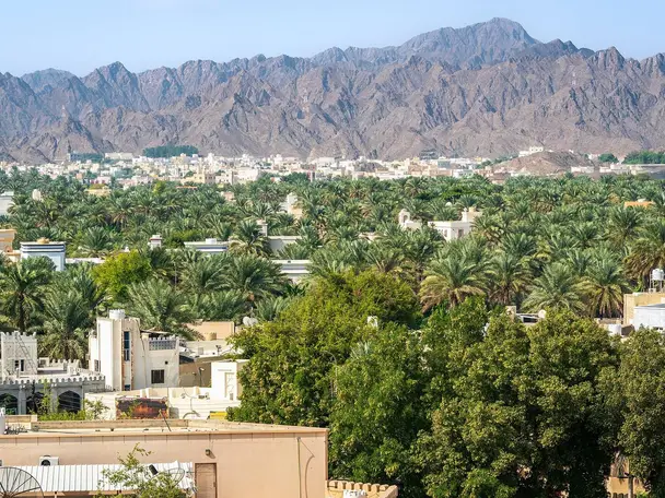 Photo of Nizwa Fort, photo 2 of 17