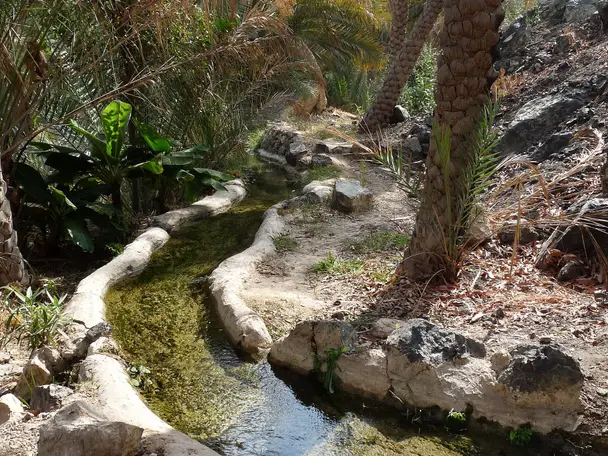 Photo of Wadi Tiwi hiking trail