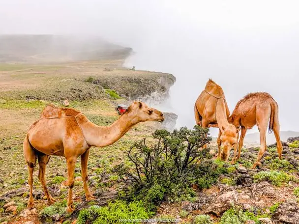 Photo of Jabal Samhan Viewpoint, photo 2 of 20