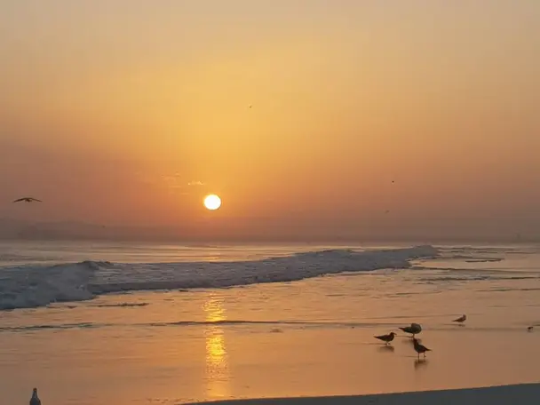 Photo of Al Haffa Beach, photo 2 of 8