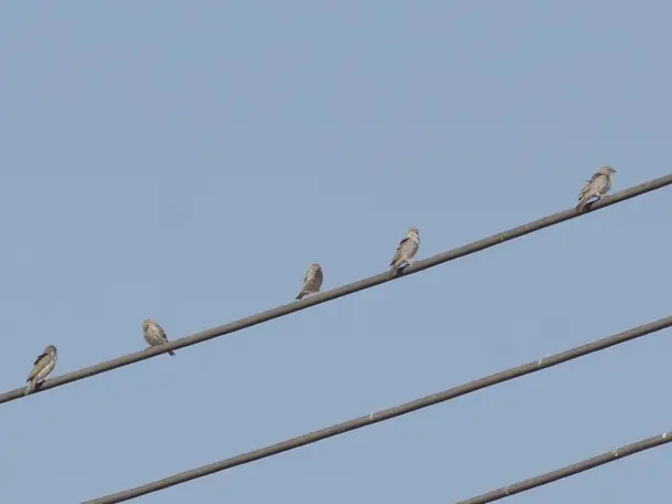 Photo of Tawi Attair (Well of Birds), photo 5 of 10