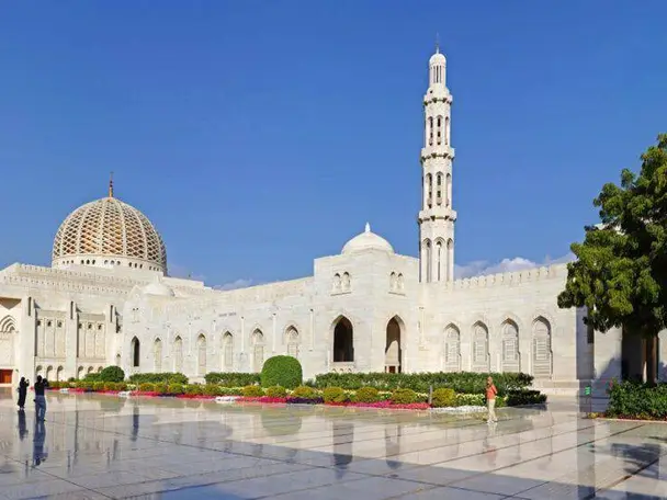 رحلة جماعية لنصف يوم في مسقط.