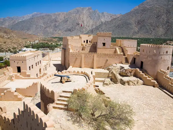 صورة نخل