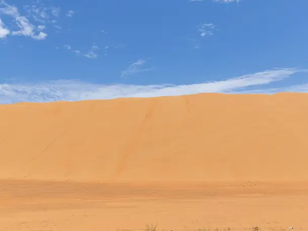 صورة بدية