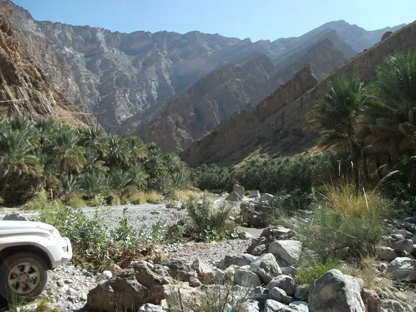 صورة العوابي