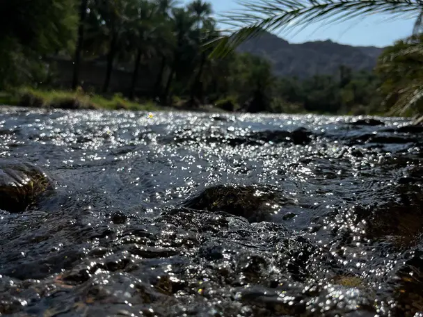 Photo of Wadi Dima (Dima wa At Tayyin), photo 2 of 2