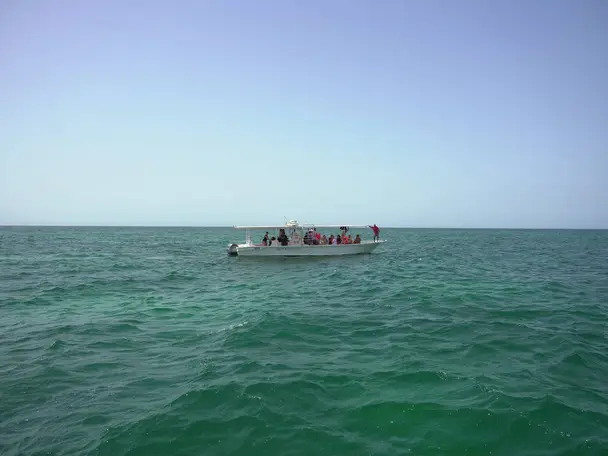 Photo of Daymaniyat Islands Nature Reserve
