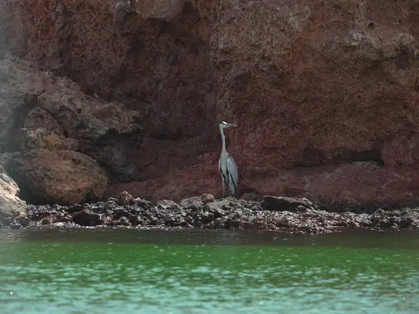 Photo of Daymaniyat Islands Nature Reserve