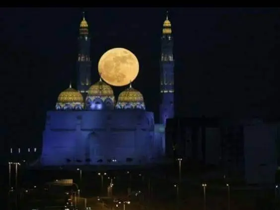 Private tour| Muscat Under the Full Moon – A Magical Night by the Sea