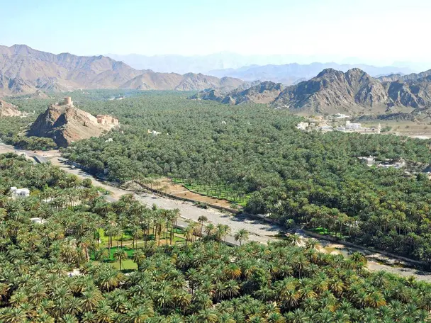 Private Tour-Samail Full-Day Experience – Heritage, Nature & Local Life