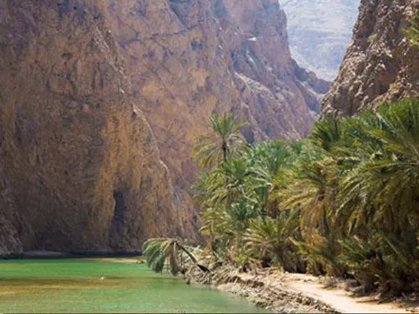 The Hidden Life of Oman: Mountains, Falaj & Forgotten Villages (Fanja & Samail)