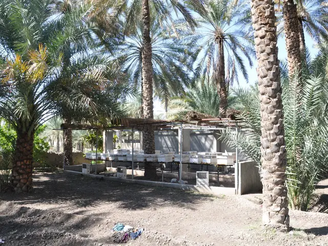 Photo of Izki