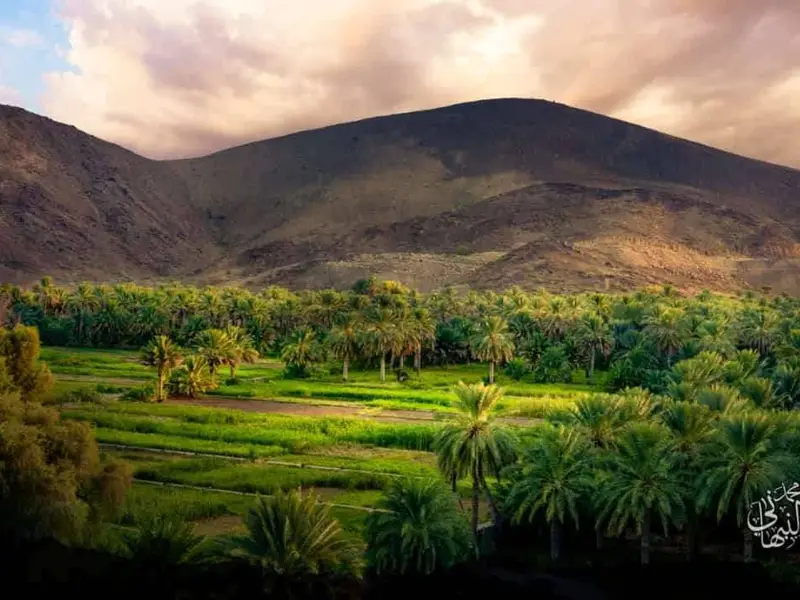 Main tour image for Experience Oman's Culture in traditional Ways