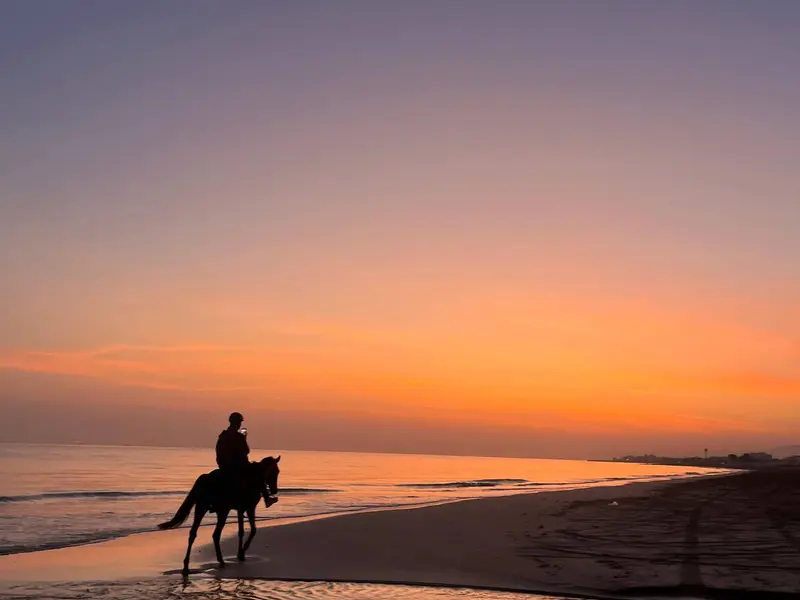 Main tour image for Horseback riding on the beach 🌅🏇🏼