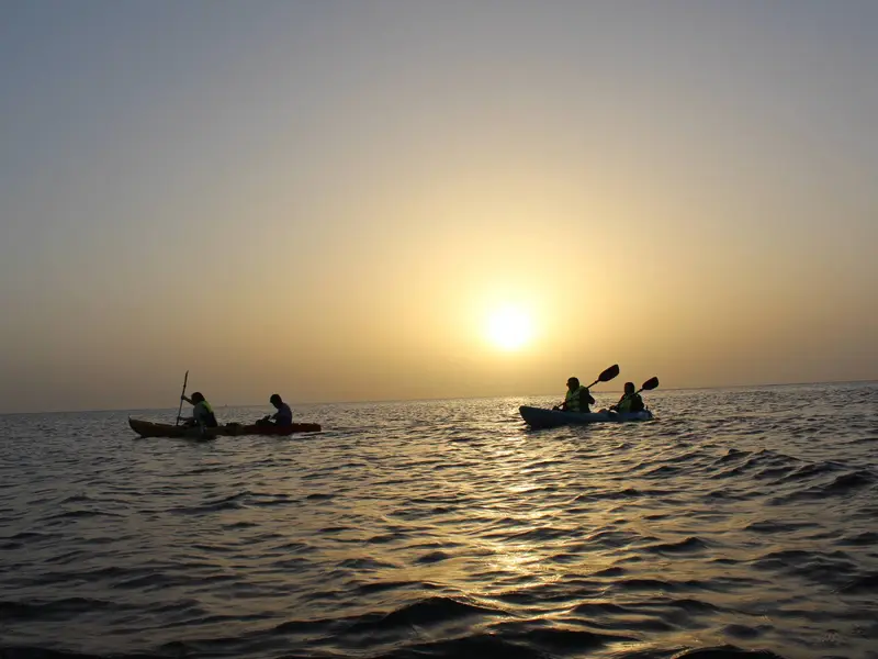 Main tour image for Muscat Sunset Kayak 