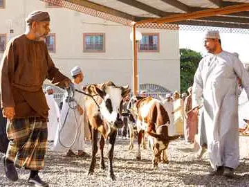 الصورة الرئيسية للجولة اكتشف تقاليد أهل نزوى