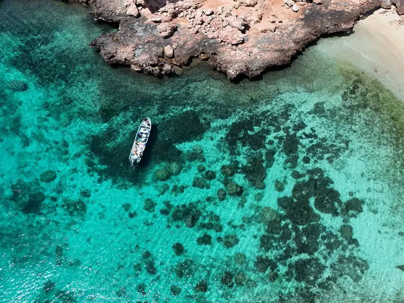 Main tour image for Private Al Dimaniyat Islands Trip (Half Day)