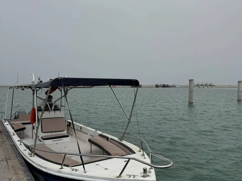 Main tour image for Private Al Dimaniyat Islands Trip (Half Day)