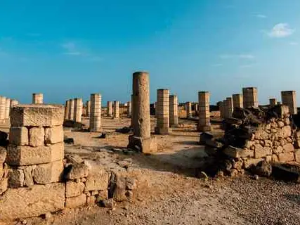 Main tour image for Full-day Salalah City Tour (8 hours)