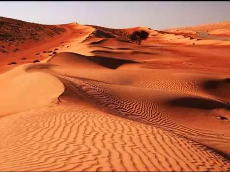 الصورة الرئيسية للجولة صحراء رمال وهيبة ووادي بني خالد