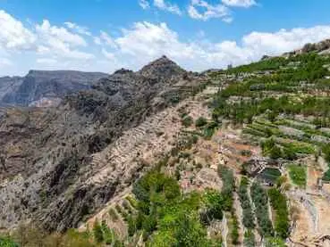 Main tour image for Transfer from Birkat Al Mouz to Jebel Akhdar (round trip)