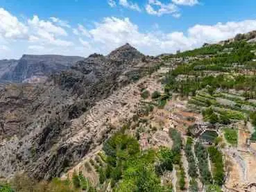 Main tour image for Transfer from Birkat Al Mouz to Jebel Akhdar (round trip)