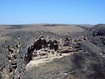 Main tour image for Full-day Jebel Safari East (8 hours)