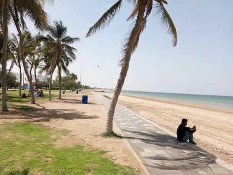 Main tour image for Muscat city tour