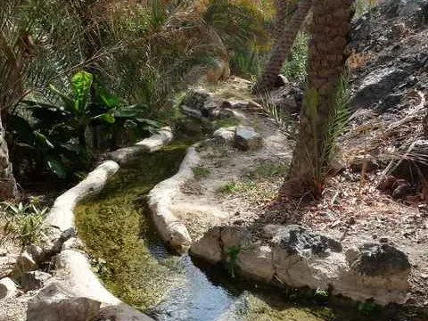صورة وادي تيوي