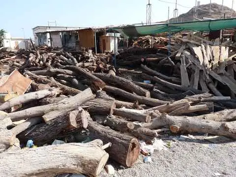 صورة أفنية صور لبناء السفن