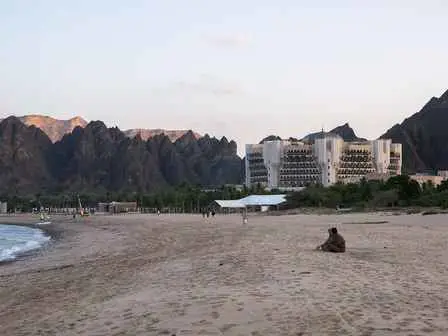 صورة شاطئ البستان