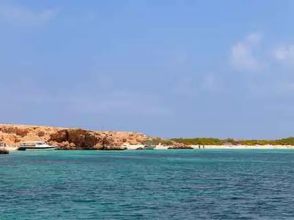 صورة محمية جزر الديمانيات الطبيعية