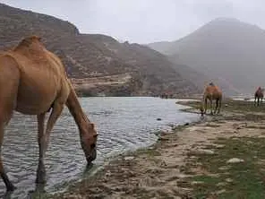 صورة شاطئ المغسيل