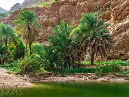 صورة وادي شاب