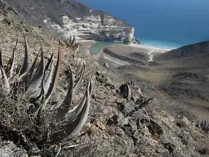 صورة شاطئ المغسيل