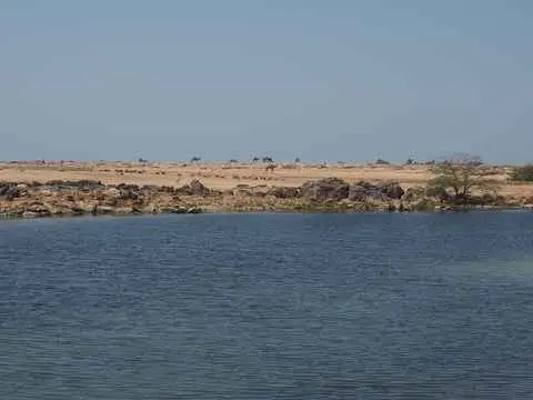 صورة سمهرم (خور روري)